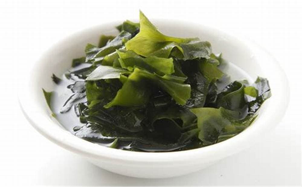 WAKAME ALGA